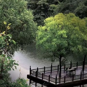 山东聊城+药乡国家森林公园2日1晚自由行