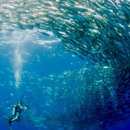 菲律宾薄荷岛+巴里卡萨岛+杜马盖地5日4晚拼小团
