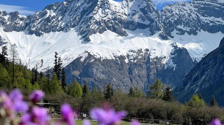 5D4N · Private Tours · Western Sichuan for Nature Lovers: Daocheng Yading, Mount Siguniang, Xinduqiao & Yuzixi - Snow Mountains, Tibetan Grasslands & Starry Skies