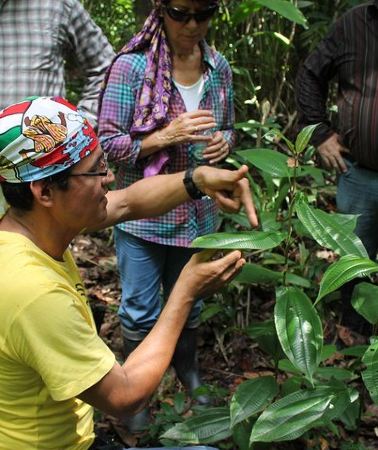 3D2N • Amazon Untamed Expedition 3 Days and 2 Nights pacaya samiria