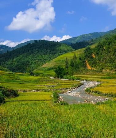 2D1N • 2 days authentic trekking tour in Sapa ( Homestay - Less touristy )
