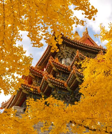 6天5晚 • 秋季限定 · 精緻小團｜紅牆金瓦間細品皇城秋韻，賞皇城四大經典景點 ｜搶先2環希爾頓花園｜自由活動日，盡享京城秋光