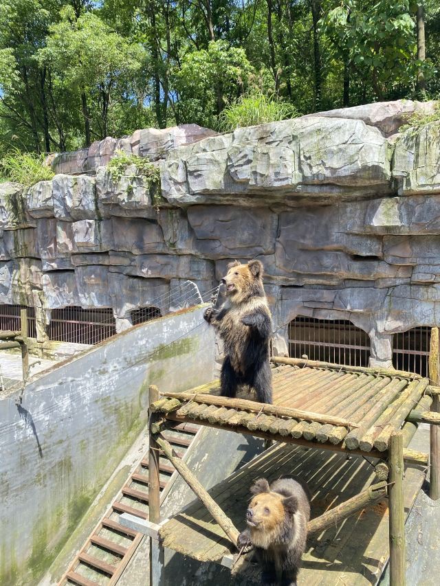 怀化野生动植物园旅行图片 2