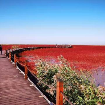 沈阳+盘锦+红海滩国家风景廊道2日1晚拼小团
