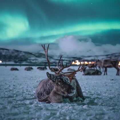 芬兰罗瓦涅米北极圈标线+圣诞老人村+三宝号破冰船6日5晚私家团
