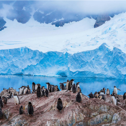 阿根廷布宜诺斯艾利斯+火地岛国家公园+南极海峡17日14晚跟团游