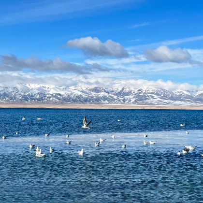 新疆阿勒泰地区+伊犁+禾木风景区+喀纳斯+世界魔鬼城+赛里木湖+独山子大峡谷8日7晚自由行