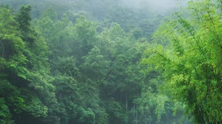5-Day GuizhouHuangguoshu Waterfall + Xijiang Qianhu Miao Village + Libo Xiaoqikong Scenic Area
