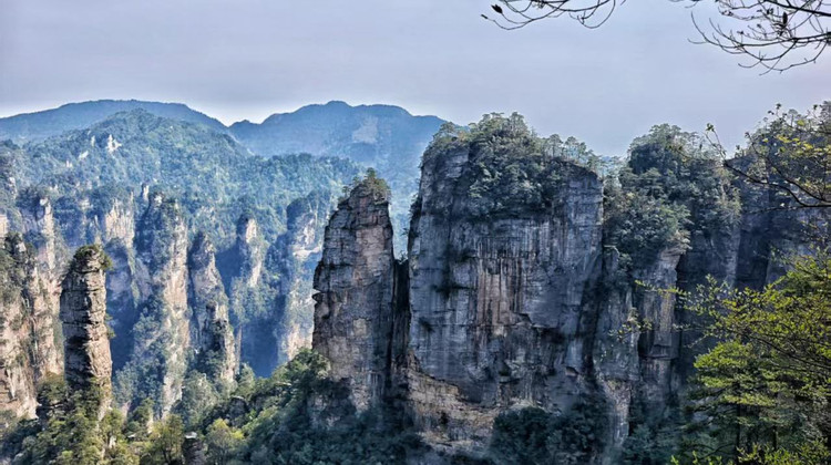 张家界+大峡谷+天门山+湘西+凤凰5日4晚跟团游·金秋出行 升级2+1航空VIP巴士【纯玩无购物无超市无苗寨】 5A天门山+刺激玻璃桥+凤凰古城|两大VIP通道|天门山高山索道+品3大特色美食+苗服体验|赠128元凤凰三景泛舟