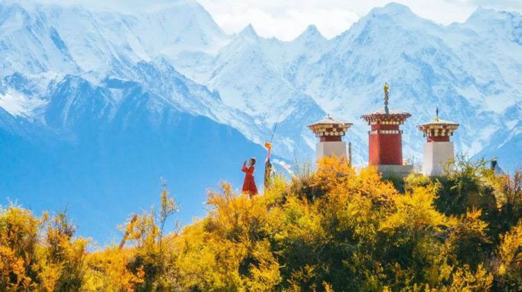 8日7晚 · 旅行團 · 雲南昆明+大理市+麗江+香格里拉·S灣旅拍+洱海豪華大遊船+5A玉龍雪山+石林+贈威楚傳奇+千古情+印象麗江+獨克宗古城