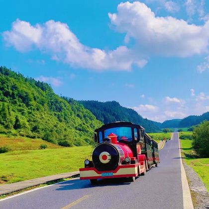 重庆+重庆两江游+长江索道+武隆区+仙女山国家森林公园5日4晚私家团