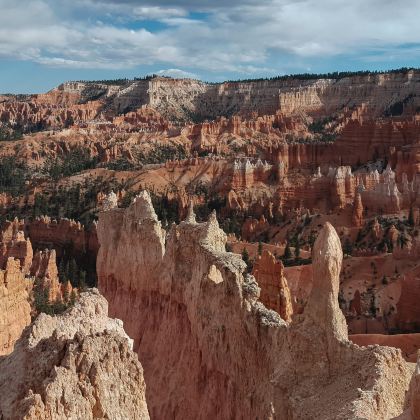 洛杉矶+拉斯维加斯+盐湖城+黄石国家公园+佩吉14日13晚自由行