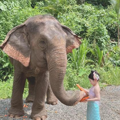 腾冲+西双版纳7日6晚拼小团