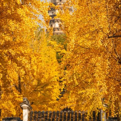 无锡市太湖鼋头渚风景区+留园+拙政园+南通狼山风景名胜区6日5晚私家团