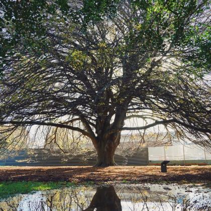 澳大利亚+新西兰12日10晚拼小团