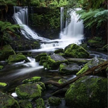 澳大利亚塔斯马尼亚霍巴特+塔斯曼半岛+布鲁尼岛+酒杯湾6日5晚私家团