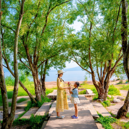 云南昆明+抚仙湖+建水+普者黑风景区+弥勒7日6晚私家团