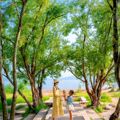 云南昆明+抚仙湖+建水+普者黑景区+弥勒7日6晚私家团