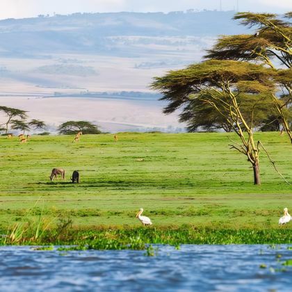 南非+肯尼亚13日10晚跟团游