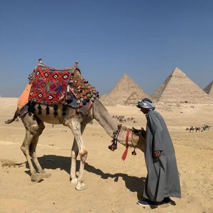 埃及开罗+马特鲁港+锡瓦+吉萨金字塔群5日4晚私家团