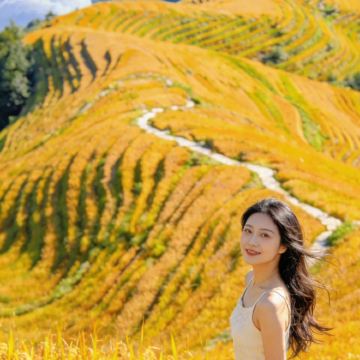 云南昆明+抚仙湖+建水+元阳+蒙自+普者黑景区+坝美世外桃源景区+弥勒+罗平油菜花景区+东川红土地+元谋土林10日9晚自由行