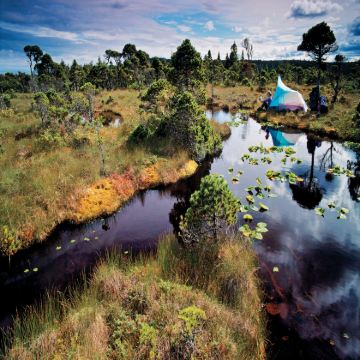 加拿大温哥华+雷夫尔斯托克+贾斯珀+班夫8日7晚私家团