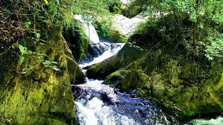 3D2N · Group Tours · Shennongjia Scenic Area: Shennongding - Dajiuhu Lake - Guanmen Mountain - Shennong Altar 
