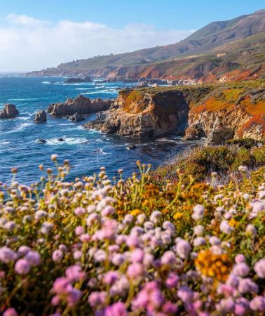 4D3N • Los Angeles + California Highway 1 Three-Day In-Depth Tour + Carmel-by-the-Sea Fairy Tale Town + 17-Mile Drive + San Francisco