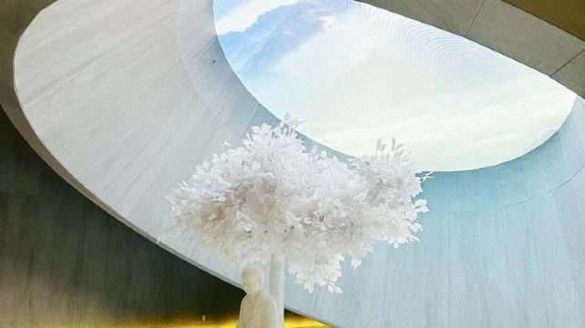 南京+6