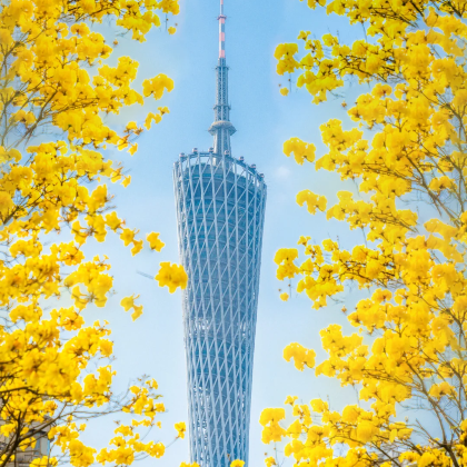 广州+佛山+顺德区5日4晚私家团