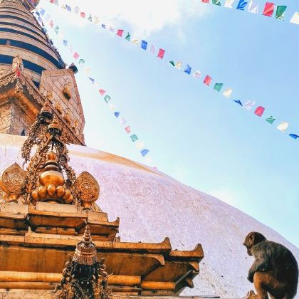 尼泊尔加德满都+博卡拉+纳加阔特6日5晚私家团