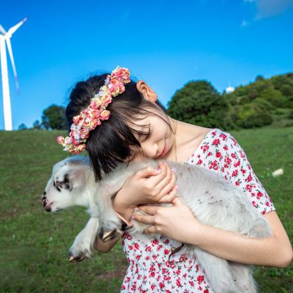 阿尔山+呼伦贝尔+额尔古纳7日6晚私家团