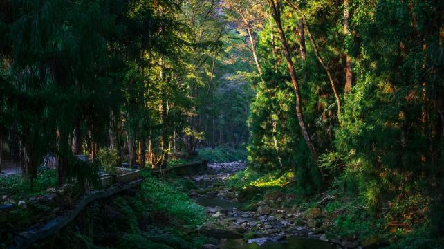 6-Day Scenic Hunan Group Tour·Zhangjiajie National Park, Glass Bridge & Tianmen Highlights