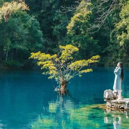 贵州贵阳+百里杜鹃风景区+黄果树景区3日2晚跟团游
