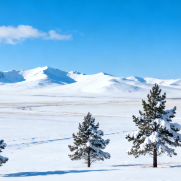 呼伦贝尔+海拉尔+额尔古纳+满洲里6日5晚拼小团