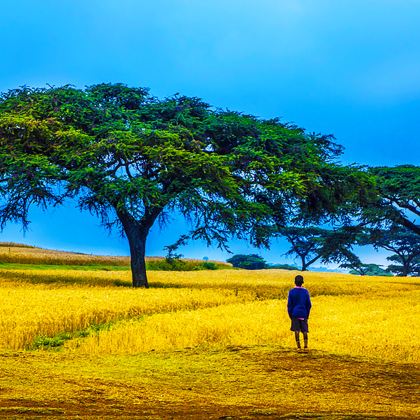 南非+肯尼亚13日10晚跟团游