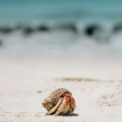 塞舌尔+阿联酋9日8晚私家团