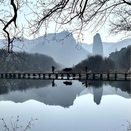 台州+丽水+衢州+金华8日7晚私家团