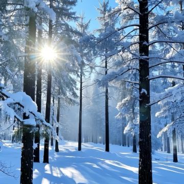 哈尔滨+伊春5日4晚拼小团