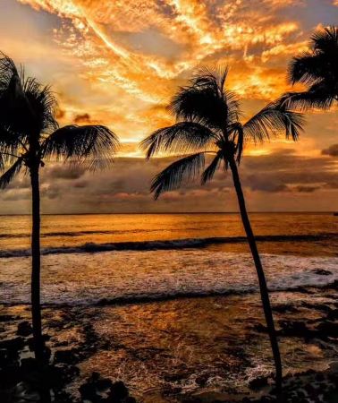 7D6N • Oahu + Hawaii island