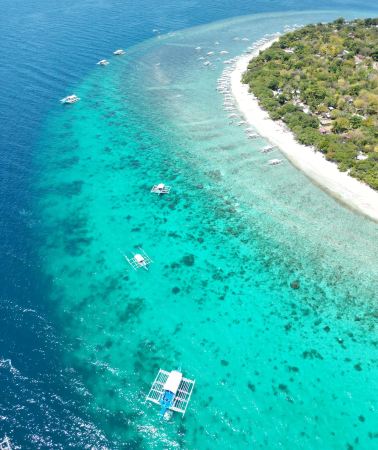 4D3N • Cebu Sardine Run Snorkeling + Kawasan Falls Canyoneering + Whale Shark Swimming + Sumilon Island Snorkeling (Accommodation Not Included)