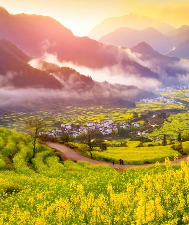 4D3N • Wangxian Valley + Wuyuan Huangling Scenic Area + Wunvzhou Resort + Jingdezhen