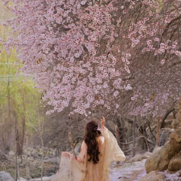 北疆+新疆伊犁+昭苏草原+赛里木湖7日6晚私家团