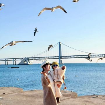 大连+老虎滩海洋公园3日2晚跟团游