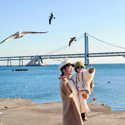 大连+老虎滩海洋公园3日2晚跟团游