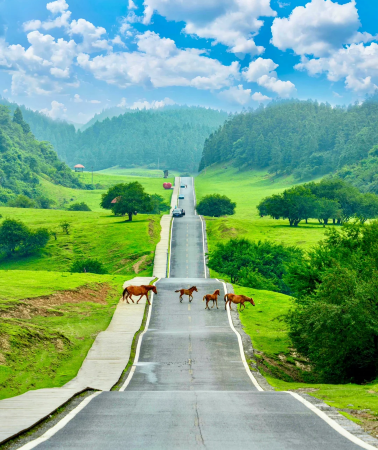 5D4N•Chongqing + Three Natural Bridges + Longshuixia Fissure Gorge + Fairy Mountain National Forest Park + Chiyou Jiuli Palace