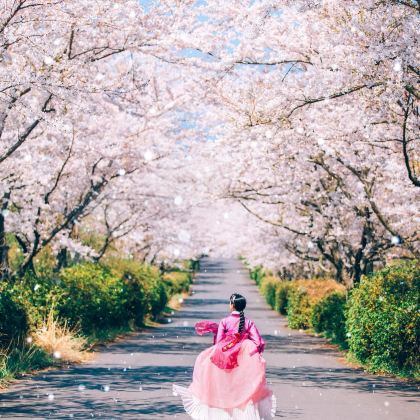 韩国济州岛3日2晚自由行