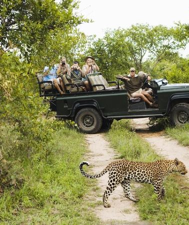 2D1N • All inclusive BIG 5 Kruger 2 Day Safari from Johannesburg