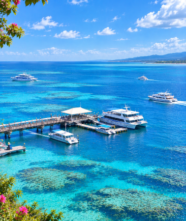 4D3N • Cairns + Great Barrier Reef + Rainforestation Nature Park + Atherton Plateau
