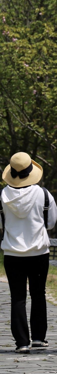 苏州太湖国家湿地公园-苏州